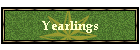 Yearlings