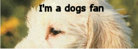DOGS RULE! The Dogs Fanlisting