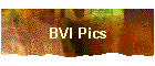 BVI Pics