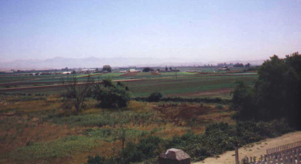 � 1998 DLW