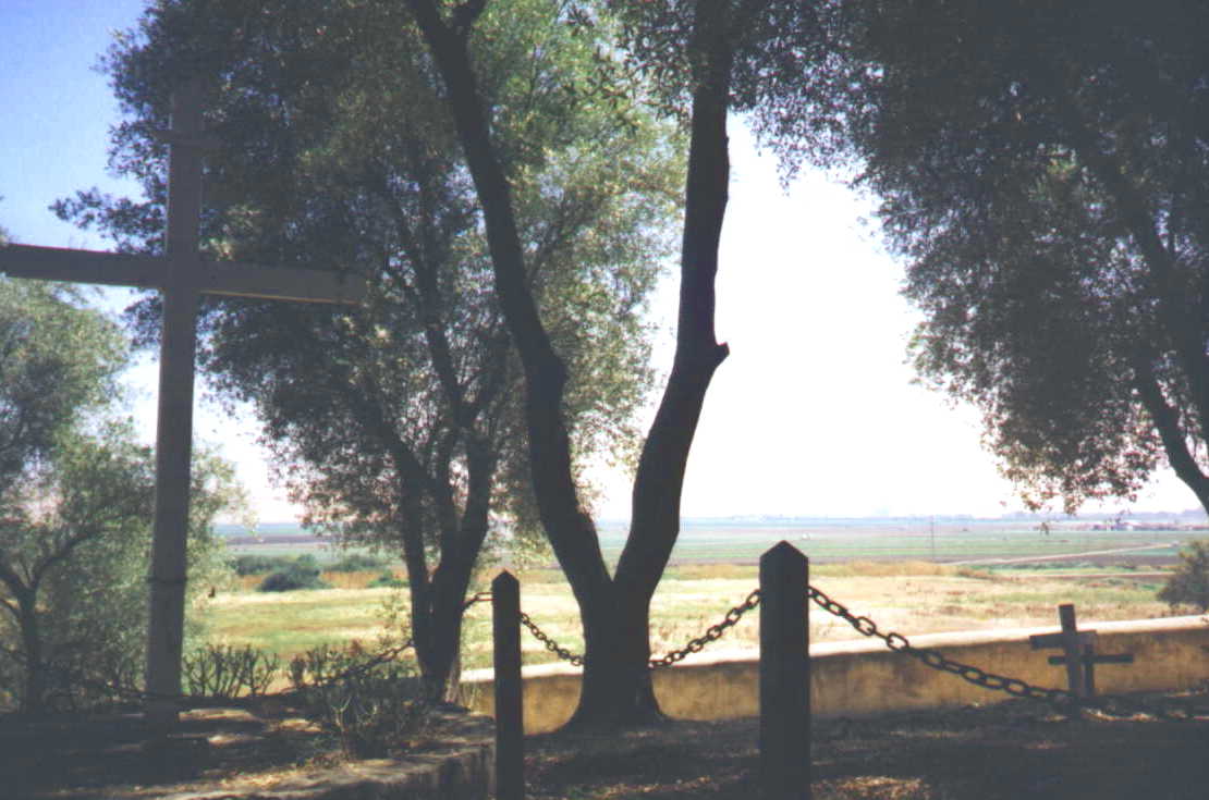 � 1998 DLW