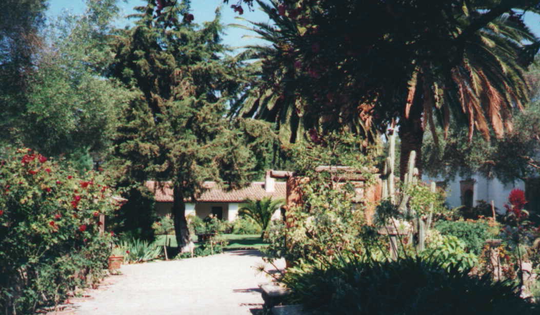 � 1998 DLW