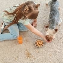 Girl and dog on carpet