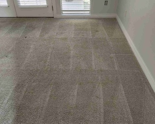 Dirty Carpet 2