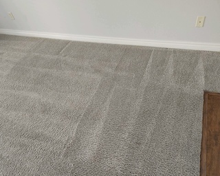Clean Carpet 1