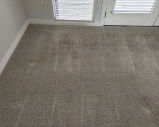 Dirty Carpet 3