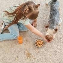 Child and dog on dirty carpet