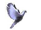 dovelarge.gif (30176 bytes)