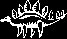 history icon
