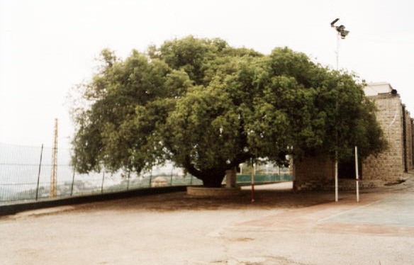 Church - West Side