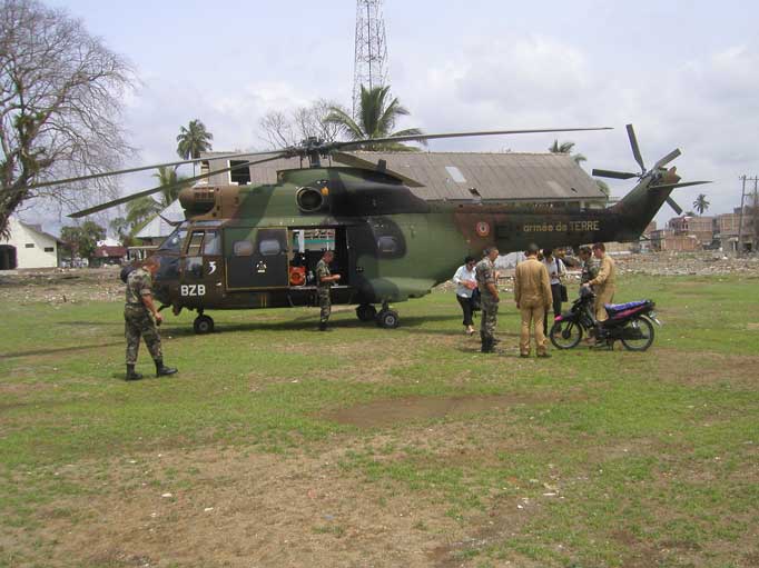 tsunami 8