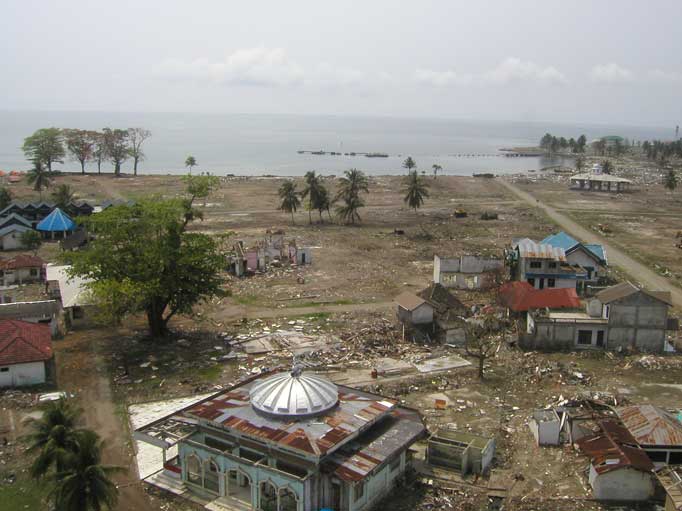 tsunami 6