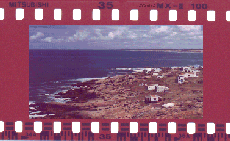 
Cabo Polonio