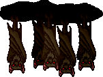 [Scarrie's bats]