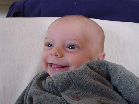 dolle pret