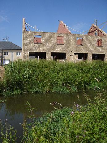 juni 2006, eenden in de achtertuin