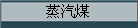 蒸汽煤