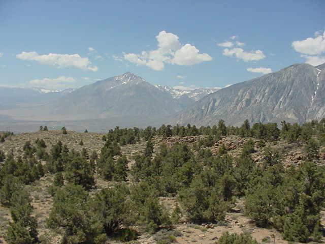 Vista