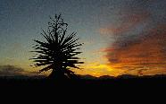 A Typical Southwestern Sunset