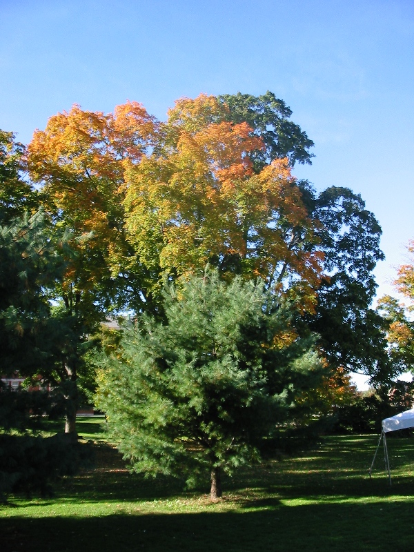 Photo credit: Shelby Flint, 2005