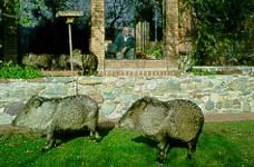 Source: U of A School of Ag homepage