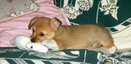 Me with my very first stuffed alligator
