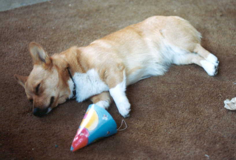 It itched, though, so I took it off and chewed on it.