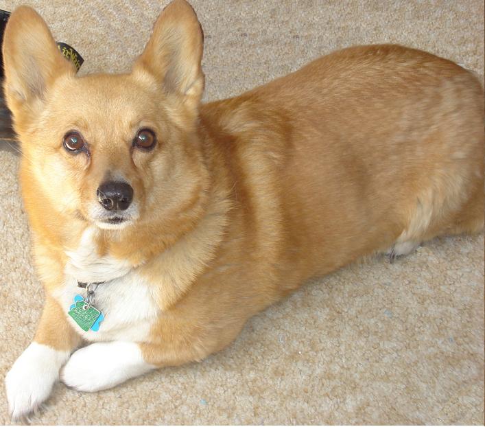 I work hard to look this good.