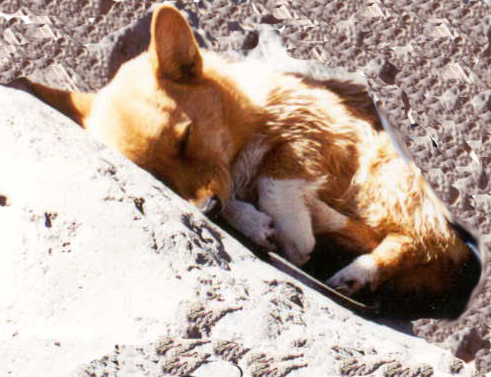 After my first swimming lesson