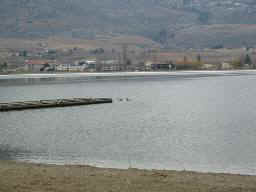 Community Beach Dock