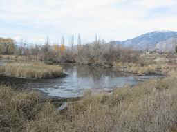 Beaver Pond