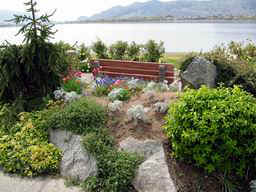 One of the many benches
