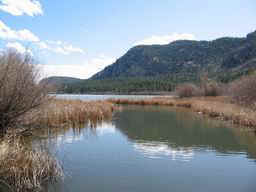 Looking out towards Vaseaux Lake