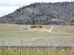 Burrowing Owl Vineyards off Black Sage Road