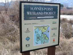 Wetland Project