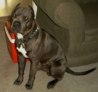 CLICK ON THIS PHOTO TO CHECK OUT ROCKY