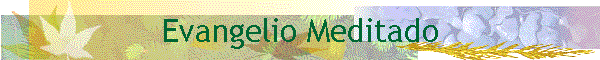 Evangelio Meditado