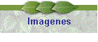 Imagenes