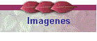 Imagenes