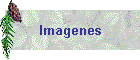 Imagenes