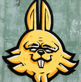 silly rabbit