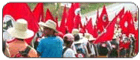 Movoimento Terra Trabalho e Liberdade
