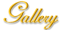 DesignbyLynne Gallery title