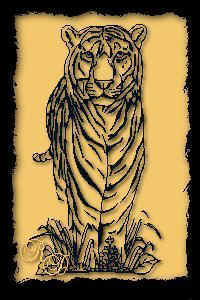 dbrtiger.jpg (25153 bytes)