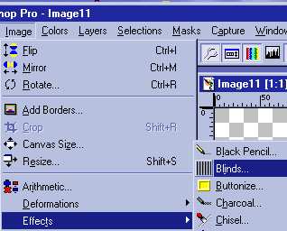 image-blinds.jpg (16714 bytes)