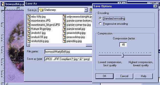 savecompression.jpg (32325 bytes)