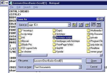 scriptviewNPsave.jpg (27144 bytes)