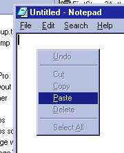 scriptviewpaste.jpg (8005 bytes)