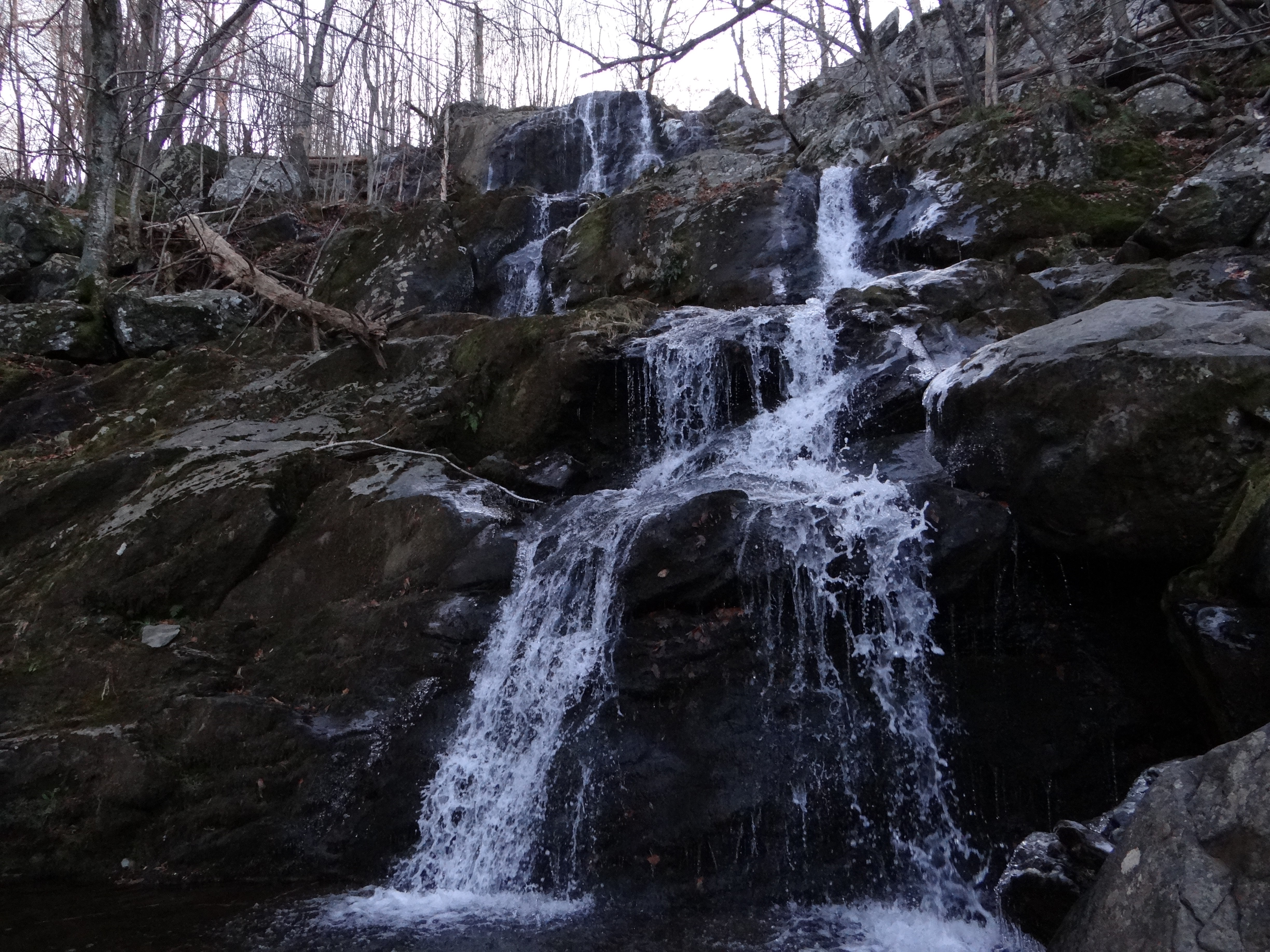 Nature