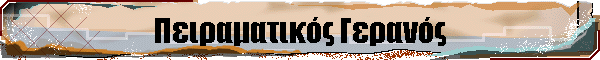 Πειραματικός Γερανός